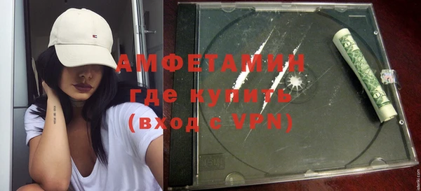 шишки Каменка