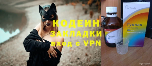шишки Каменка