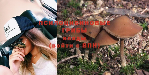 PSILOCYBIN Иннополис