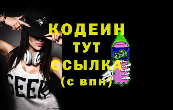 шишки Каменка