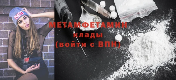 шишки Каменка