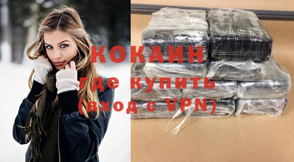 шишки Каменка