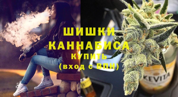 PSILOCYBIN Иннополис
