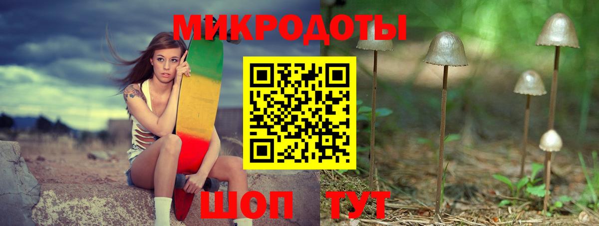 Малгобек  Псилоцибиновые грибы Psilocybe  Вход с VPN 