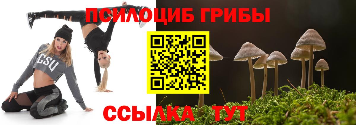 Галлюциногенные грибы GOLDEN TEACHER Малгобек