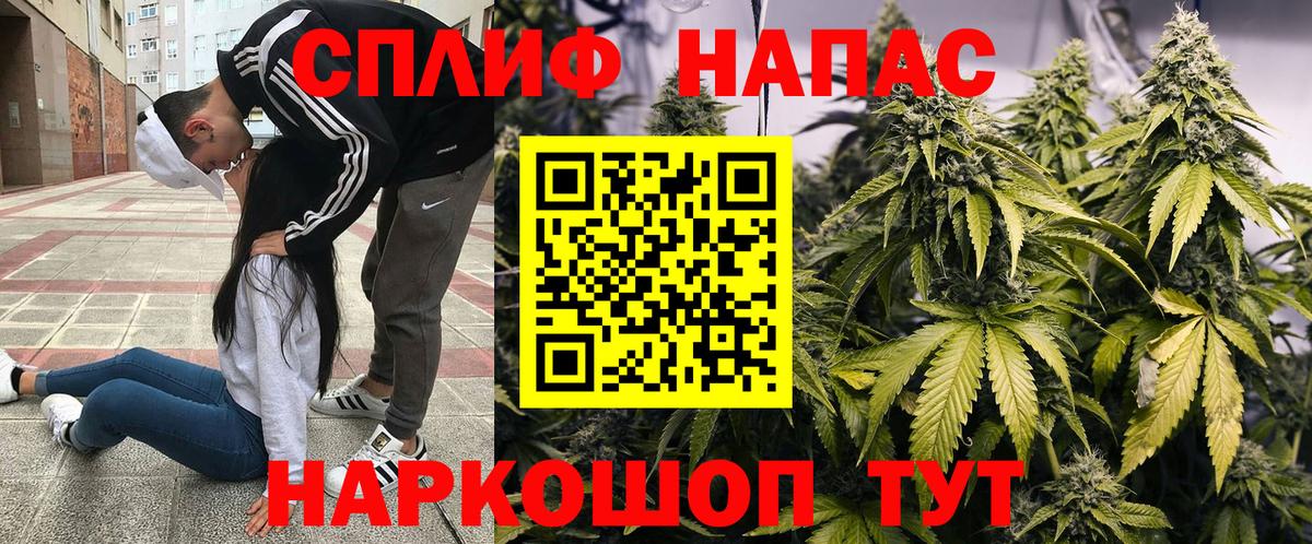 Малгобек  Конопля тримм  Вход с VPN  Марихуана семена  Марихуана сатива  Бошки Шишки сатива 